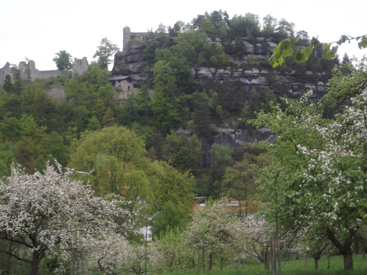 Hotel Zum Hecht à Herrnhut Extérieur photo